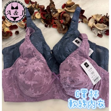 『A&J』#1663 C罩杯 軟綿內衣➡️全包式 透明網紗 水滴型內衣 2排扣❤️親膚舒適👍