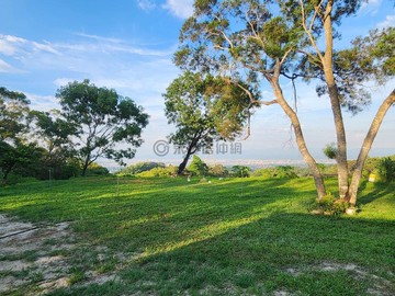 ⭐獨家⭐彰化139⭐合法資材室景觀山坡農地｜彰化縣彰化市福田段