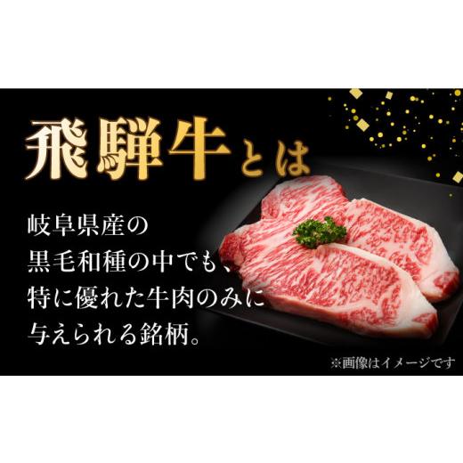 ふるさと納税 岐阜県 多治見市  切り落とし 1kg × 12回 計 12kg )≪多治見市≫ 和牛 ブランド牛 国産 [TAZ017]