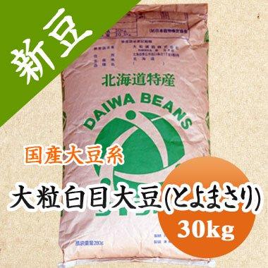 豆 大豆　とよまさり 北海道産 味噌 令和４年産 30kg 送料無料