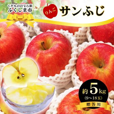 ふるさと納税 福島市 菅野房吉商店　ふくしまのサンふじりんご　5kgNo.2419