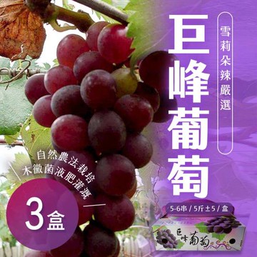 【雪莉朵辣嚴選】巨峰葡萄 5斤(5-6串) x3盒