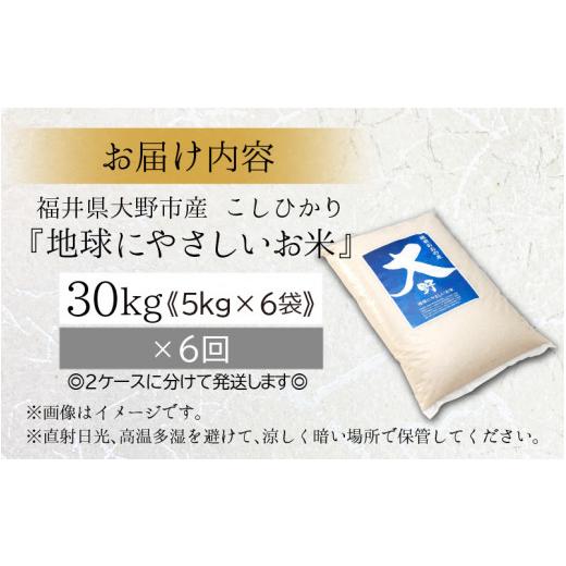 ふるさと納税 福井県 大野市 こしひかり 30kg × 6回 計 180kg