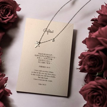 Giftest925純銀鍍18K金/得勝十字架-銀低敏可洗澡基督教項鍊N106