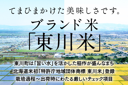 東川米 「ゆめぴりか」白米 10kg