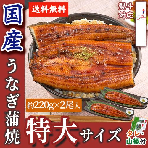 うなぎ 国産 熨斗対応 鹿児島県産 特大うなぎ蒲焼2尾セット（約440g 2尾） 200g以上の特大うなぎ 2尾入 丑の日 土用丑 土用 かば焼き 鰻 あかまる専稼