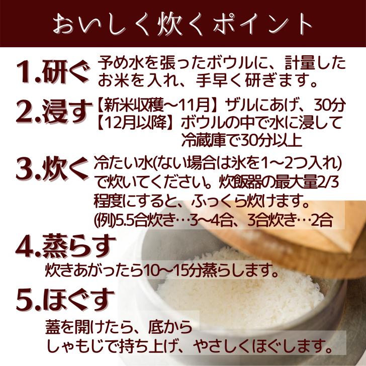 新米 5年産 新潟産 こしいぶき 10kg 5kg×2袋 受注精米 お歳暮 冷めてもおいしい 新潟県産 米 白米 精米 減農薬 農家 直送 生産者 備蓄 ギフト 内祝