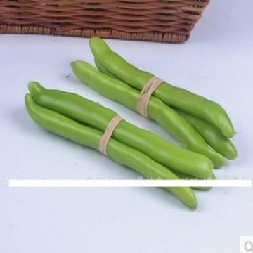 [協貿國際]   仿真四季豆