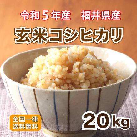 玄米 令和５年産 福井県産コシヒカリ20kg 単一原料米 栄養満点 お米 安い 10kg×2 送料無料