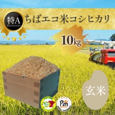 特A評価　千葉県産エコ米　コシヒカリ玄米10kg