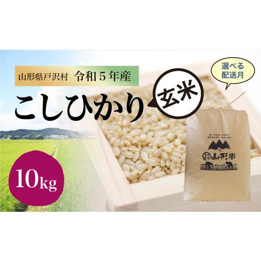 令和5年産 コシヒカリ  10kg（10kg×1袋）＜配送時期指定可＞ 山形県 戸沢村