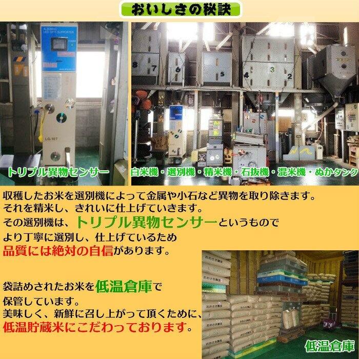 新米　令和５年産　特A 　契約栽培　京都丹波産こしひかり100％白米　5kg