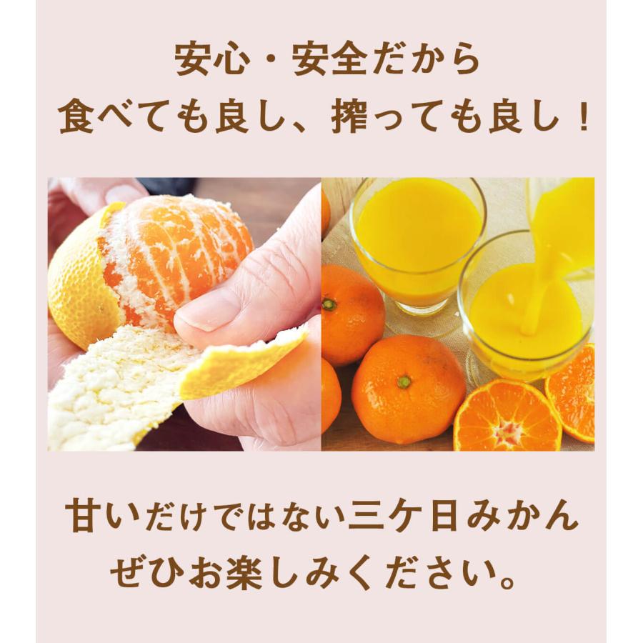 みかん 三ヶ日みかん 静岡県産 3kg 特別栽培農産物 減農薬 化学肥料不使用 訳あり ジュース用 ご家庭用 にんじんジュースにも最適