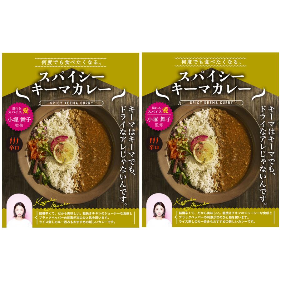 何度でも食べたくなるスパイシーキーマカレー 2食 セット レトルトカレー