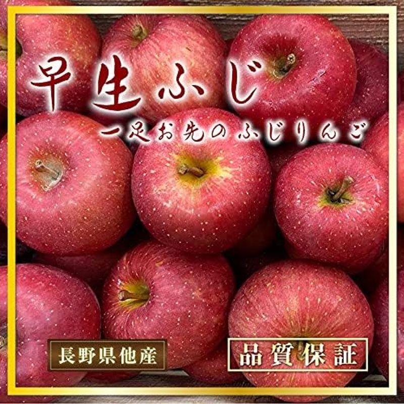 早生ふじ 約 5kg 14-18玉 中大玉 青森県 長野県産ほか 専用箱 大玉 中玉 フジ 甘い 早生 早生 ふじ 赤 化粧箱 りんご