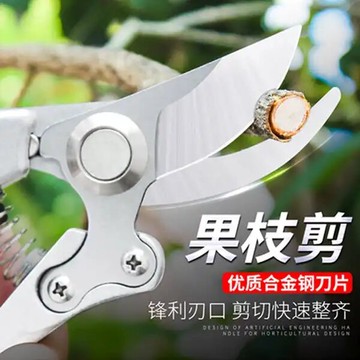 園藝大剪刀 瑞騰全鋼省力修枝剪果農園林滑輪省力修枝剪粗枝剪德國輪滑果枝剪『XY10598』