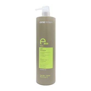 eva 伊娃 頭皮護理系列 淨化潔髮乳 1000ML 頭皮屑/頭皮癢適
