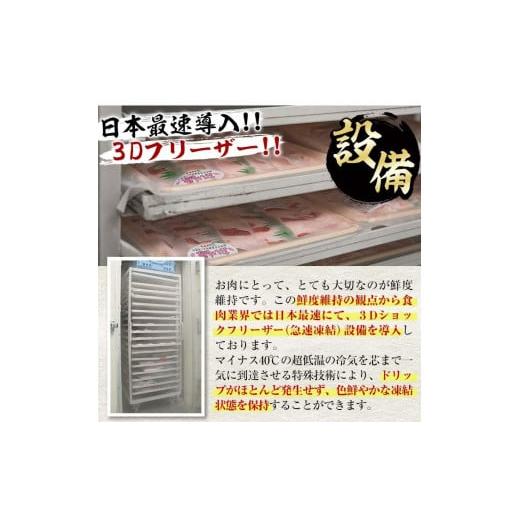 ふるさと納税 大分県 佐伯市 大分県産 豚バラ スライス (計1kg・500g×2P)