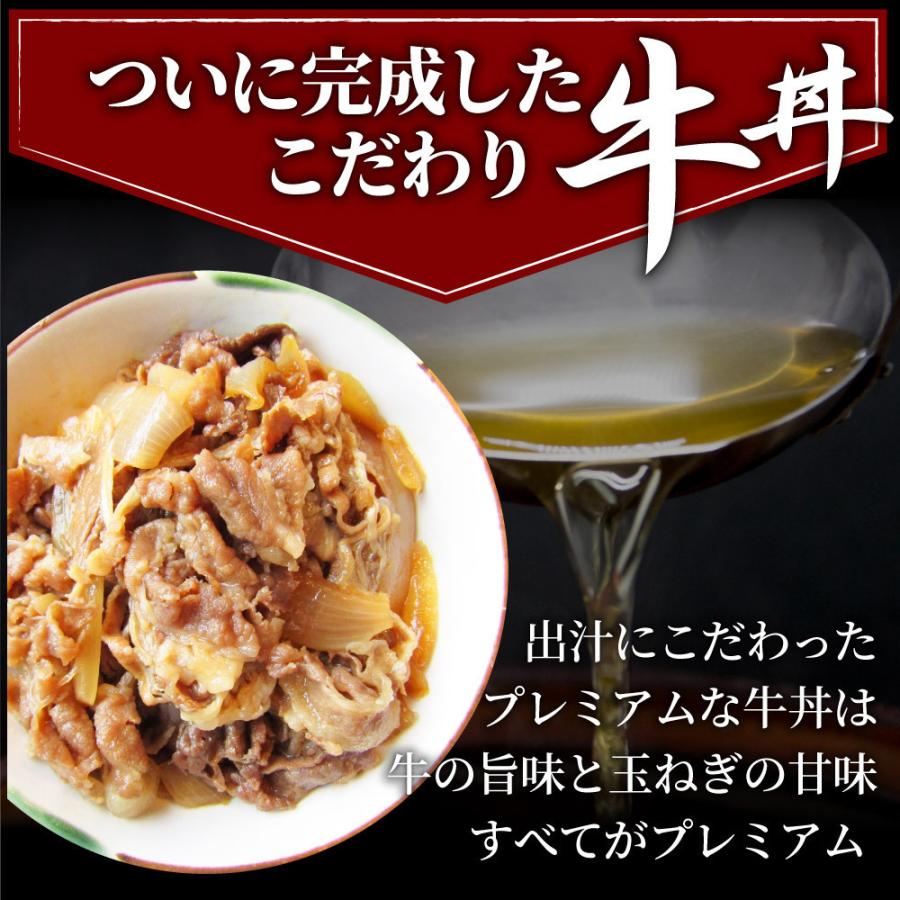 牛丼 牛丼の具 60個セット お肉屋さんのこだわり たっぷり牛肉の簡単牛丼 1食120g