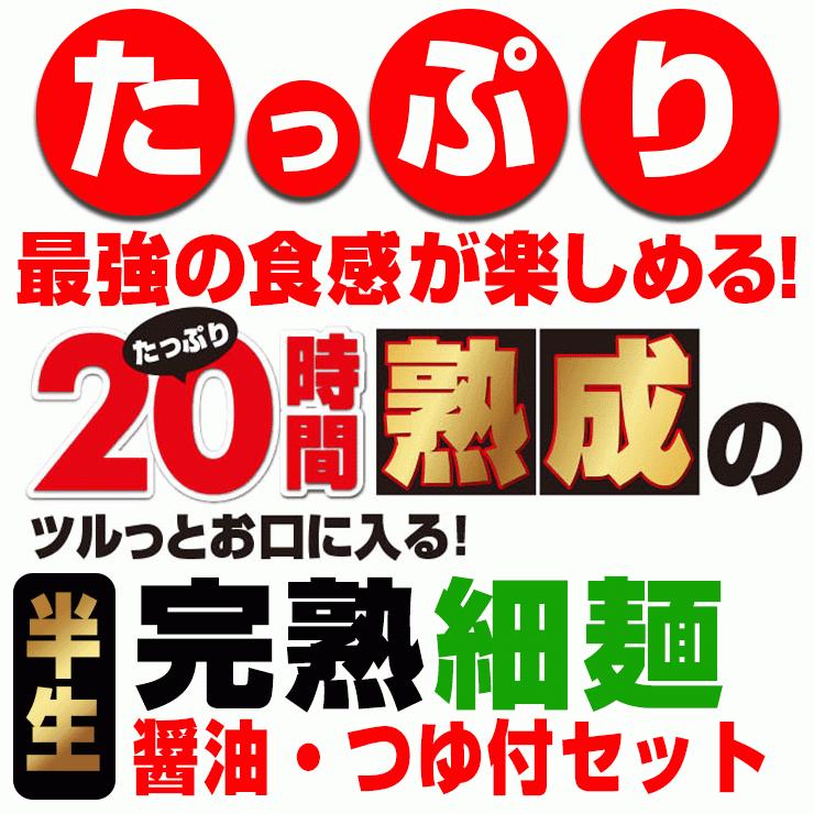 20時間熟成  半生 細麺 讃岐うどん つゆ付きセット 便利な個包装 750g 送料無料 最安値挑戦 得トクセール 特産品