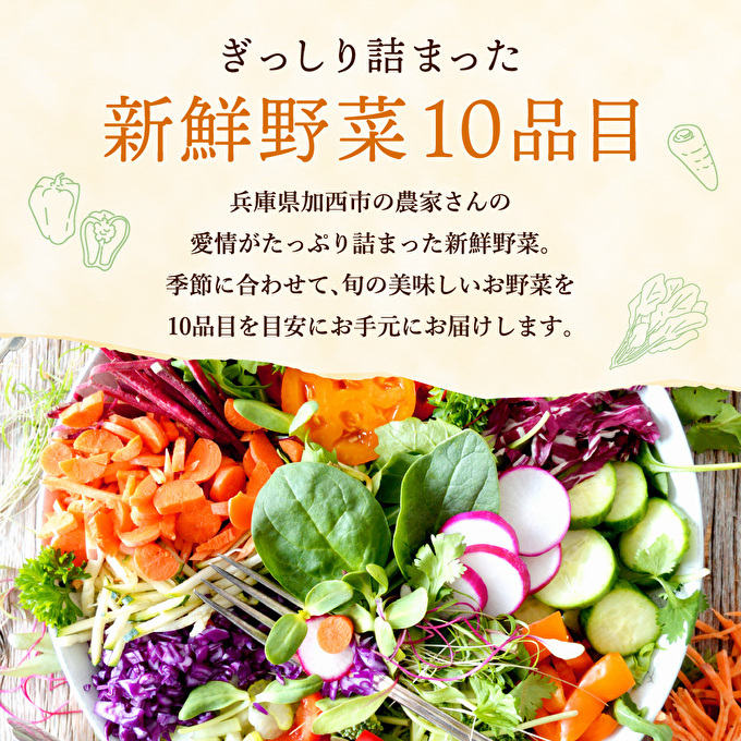 野菜セット 加西市産 季節の野菜詰め合わせセット 季節の野菜10品程度