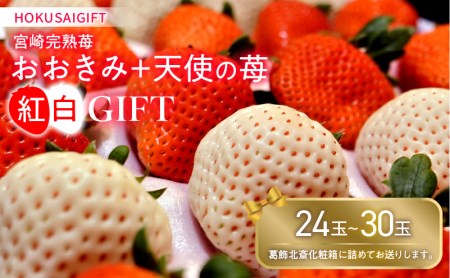 HOKUSAIGIFT宮崎完熟苺おおきみ＋天使の苺紅白GIFT いちご 苺 おおきみ苺