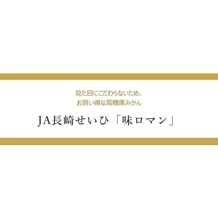 みかん 味ロマン 糖度12度選別 JA長崎せいひ 約2.5kg 外皮に傷あり (11月出荷：2S-M、12月出荷：S-L) ※常温　送料無料 長崎県 ご自宅用 訳あり