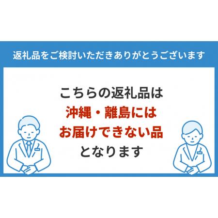 ふるさと納税 焼肉食べ比べ4種セット(茨城県共通返礼品) 茨城県常総市