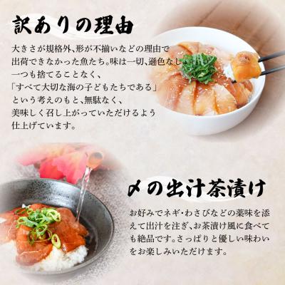 ふるさと納税 田野町 これが魚屋の漬け丼だ!海鮮5種食べ比べセット《訳あり》 5種×2P 合計10パック 各80g