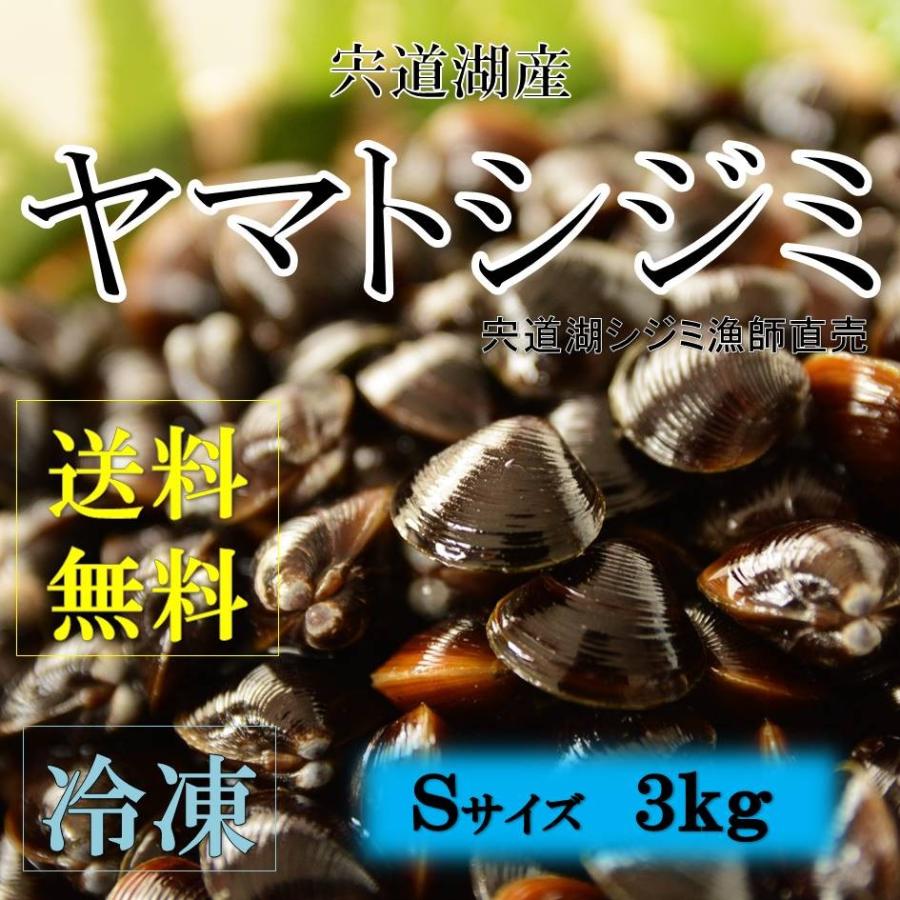 シジミ 宍道湖産 Ｓサイズ ３ｋｇ 送料無料 冷凍 砂抜き済み