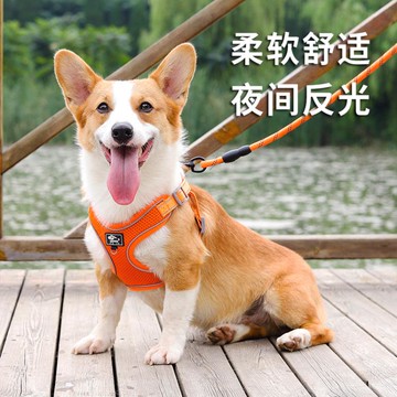 狗狗牽引繩背心式中小型犬柯基法斗柴犬遛狗繩可調節胸背帶狗錬子「限時特惠」