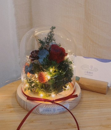 溫馨冬季 - 聖誕樹氣氛串燈玻璃花盅