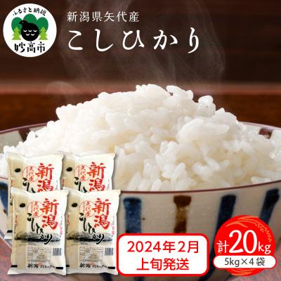 ふるさと納税 妙高市 2024年2月上旬発送　 新潟県矢代産コシヒカリ 計20kg