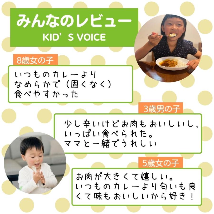 グルテンフリー 小麦不使用 カレー＆ハヤシ 選べる2袋セット グルテンフリー検査済 親子で食べられる レトルトカレー レトルトハヤシ たっぷり180ｇ・200ｇ