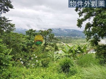 純有機香蕉園丨近八米計畫道路車可達丨俯瞰大甲溪畔｜台中市新社區水底寮段下水底寮小段
