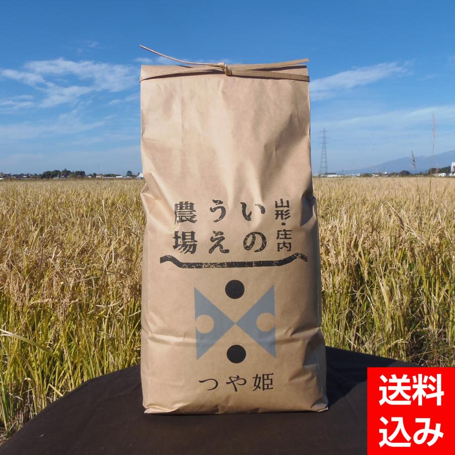 令和4年産 井上農場の特別栽培米つや姫5kg山形県産 米処 庄内 精米 白米 お米 コメ