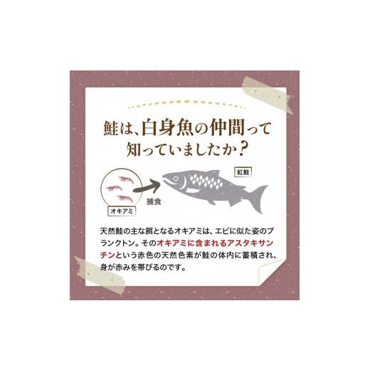 ふるさと納税 北海道 釧路市  天然紅さけ切身 2kg（500g×4袋） 鮭 さけ サケ しゃけ シャケ 切り身 北海道 冷凍 おかず …