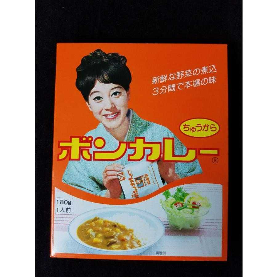 沖縄 沖縄限定 新鮮な野菜の煮込み お土産 おすすめ ボンカレー（中辛）×10個セット