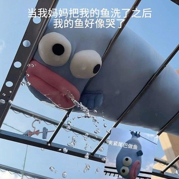新上架👉醜魚抱枕抽象搞怪表情包玩偶冰絲涼感長條抱枕女生夾腿枕頭送閨蜜交換禮物 送朋友禮物