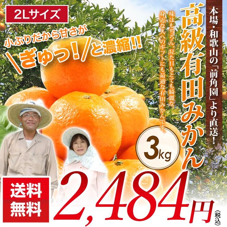 みかん 3kg 有田みかん 和歌山みかん ミカン 秀品 蜜柑 高級みかん 送料無料 和歌山県 有田みかん 2Lサイズ 箱買い 糖度 3キロ