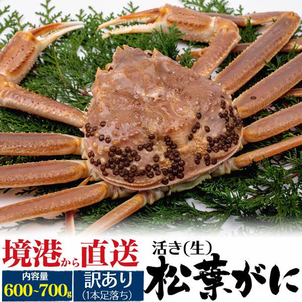 訳あり 足取れ 国産 生 松葉ガニ 活き 1杯 (600g~700g)   境港水揚げ  生姿 活蟹 松葉蟹 ズワイガニ 日本海 ブランド蟹 産地直送  ご自宅用 クール便配送