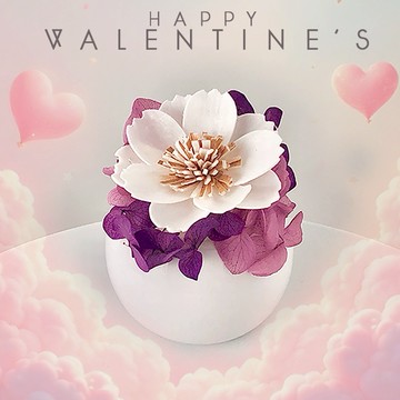 [收禮者自選香氣]【艸弄花藝】波斯菊-擴香花禮盒(含香氛精油)｜生日禮物 情人節禮物 閨蜜贈禮 紓壓小物 永生花 乾燥花