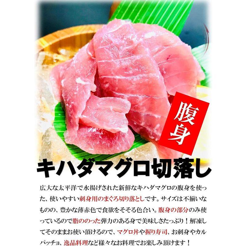 kakiya まぐろ 切り落とし 500g 脂ののったキハダマグロの腹身を使った美味しさまぐろ丼 マグロ鮨 鮪 マグロ