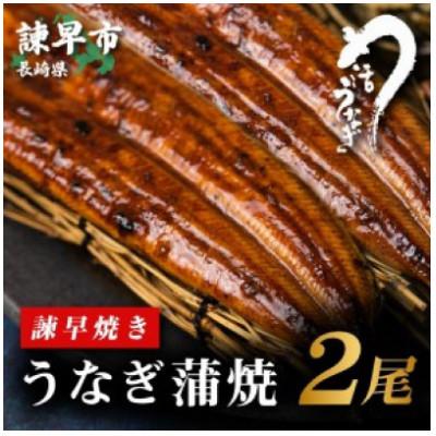 ふるさと納税 諫早市 うなぎ蒲焼2尾