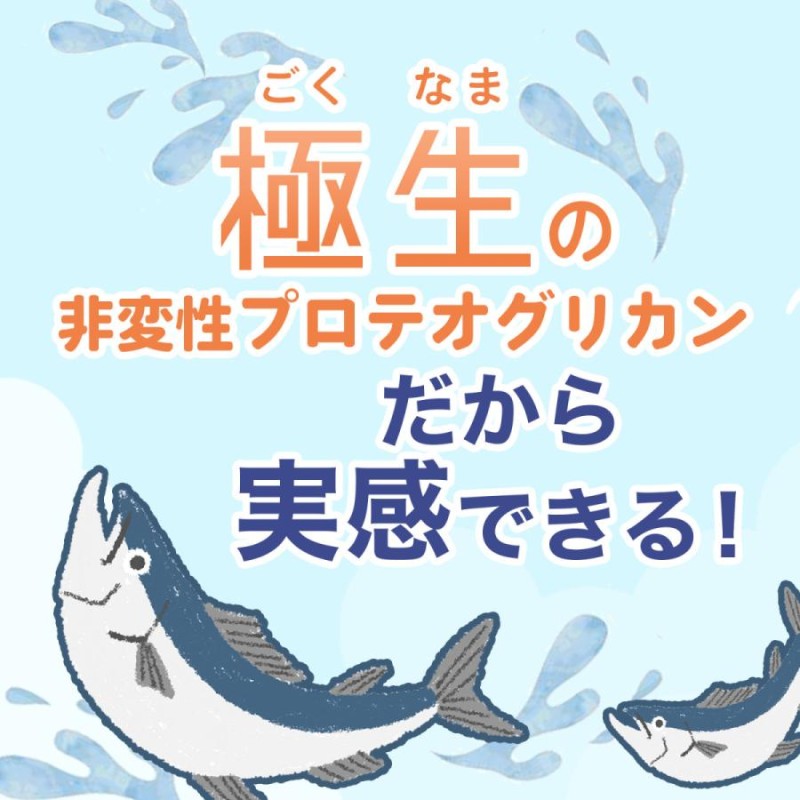 北国の恵み 93粒×3袋 約3ヶ月分 プロテオグリカン サプリ サプリメント