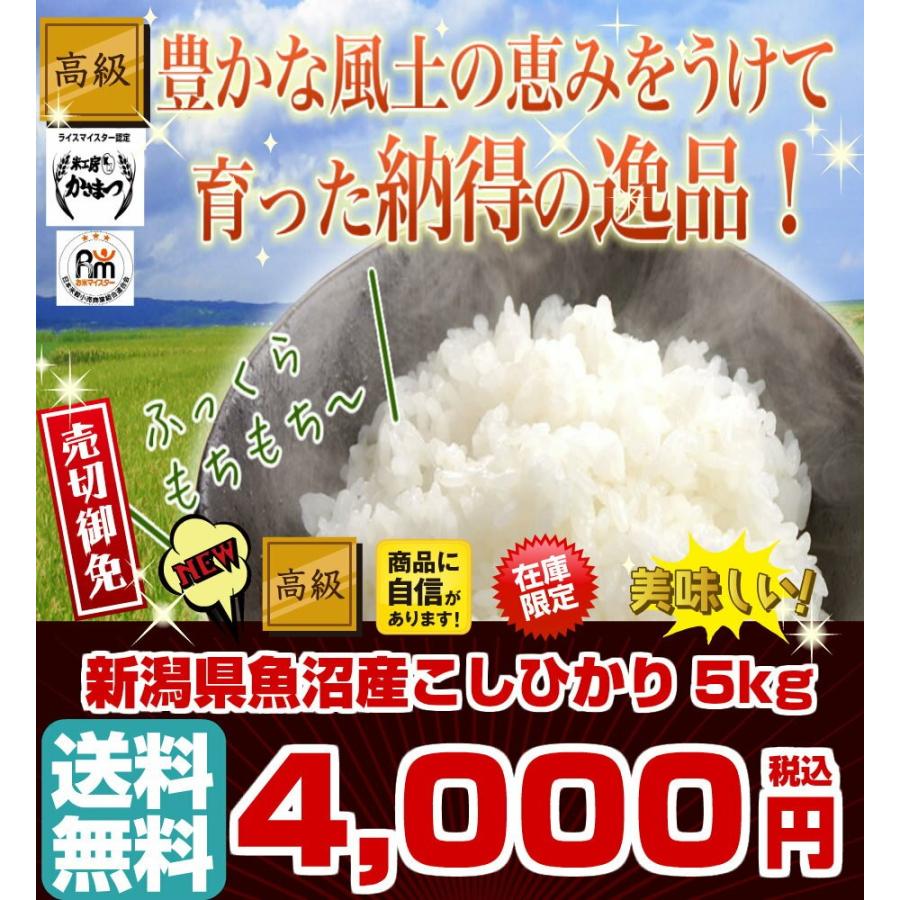 優遇価格 新米•令和4年産新潟コシヒカリ小分け3袋 農家直送 玄米25㌔か