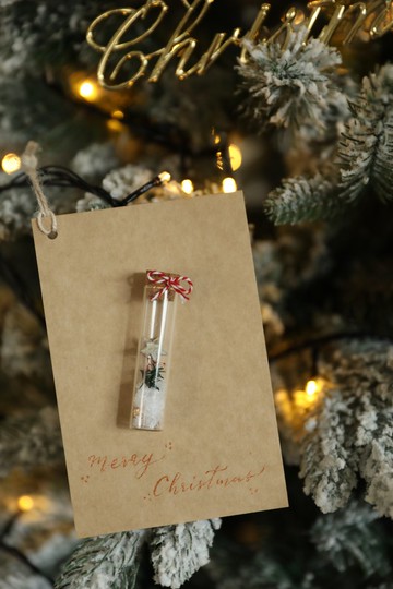 冬季許願瓶/ 手寫西洋書法 聖誕卡 手工卡片 永生花 不凋花乾燥花