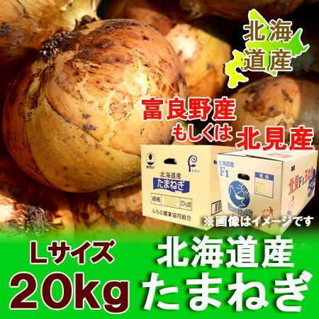 玉ねぎ 20kg 送料無料 北海道産 たまねぎ 20kg Lサイズ 共選 北海道 富良野産 もしくは 北見F1 玉葱 野菜 玉ねぎ