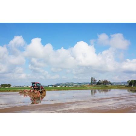ふるさと納税 特別栽培「きなうす米」ななつぼし5kg×6回 北海道栗山町