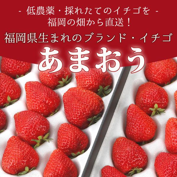 12月~1月分予約 低農薬 福岡 あまおう 苺 いちご 4パック 1kg 40〜64粒入 産地直送 ama